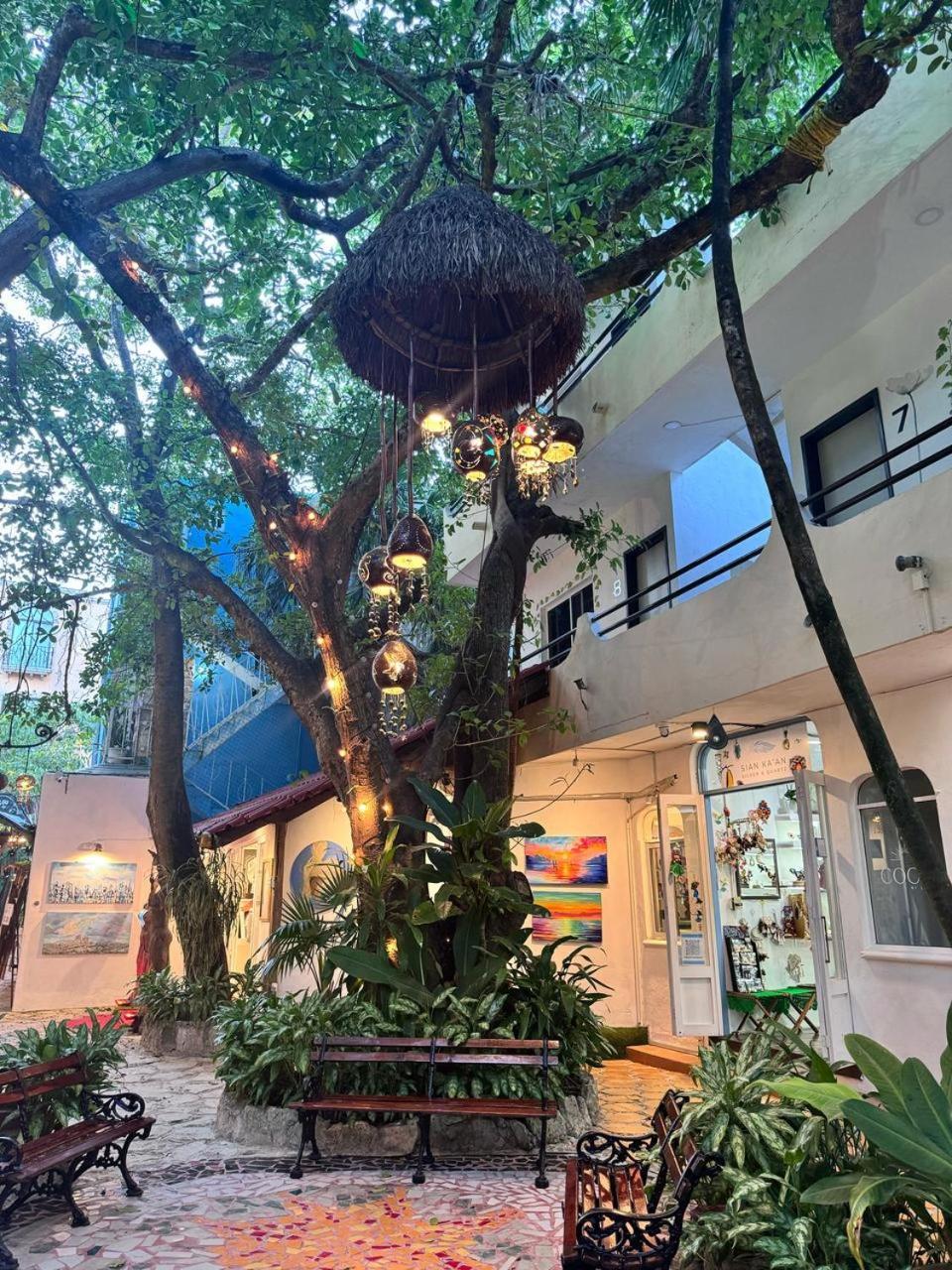 Hotel Ha Garden Gallery - 5Th Avenue Playa del Carmen Exterior photo