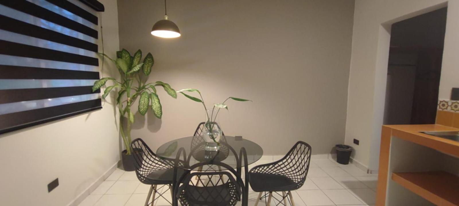 Hotel Ha Garden Gallery - 5Th Avenue Playa del Carmen Exterior photo